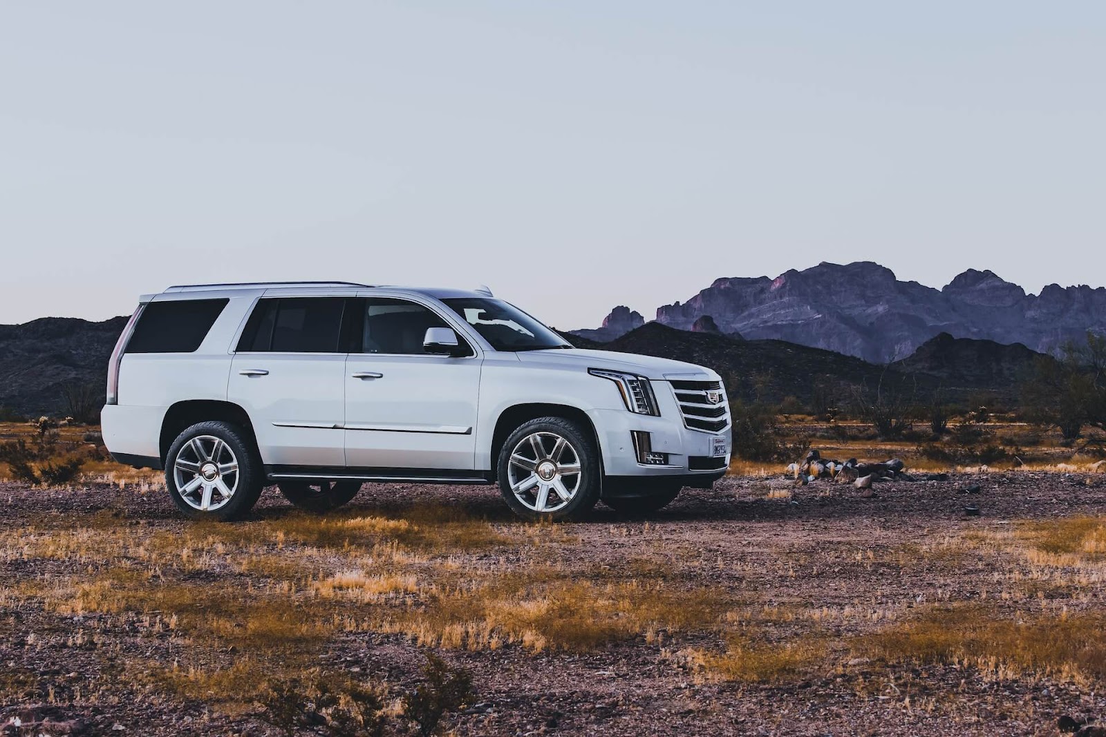 White Cadillac Escalade going off the pavement and exploring the woods.