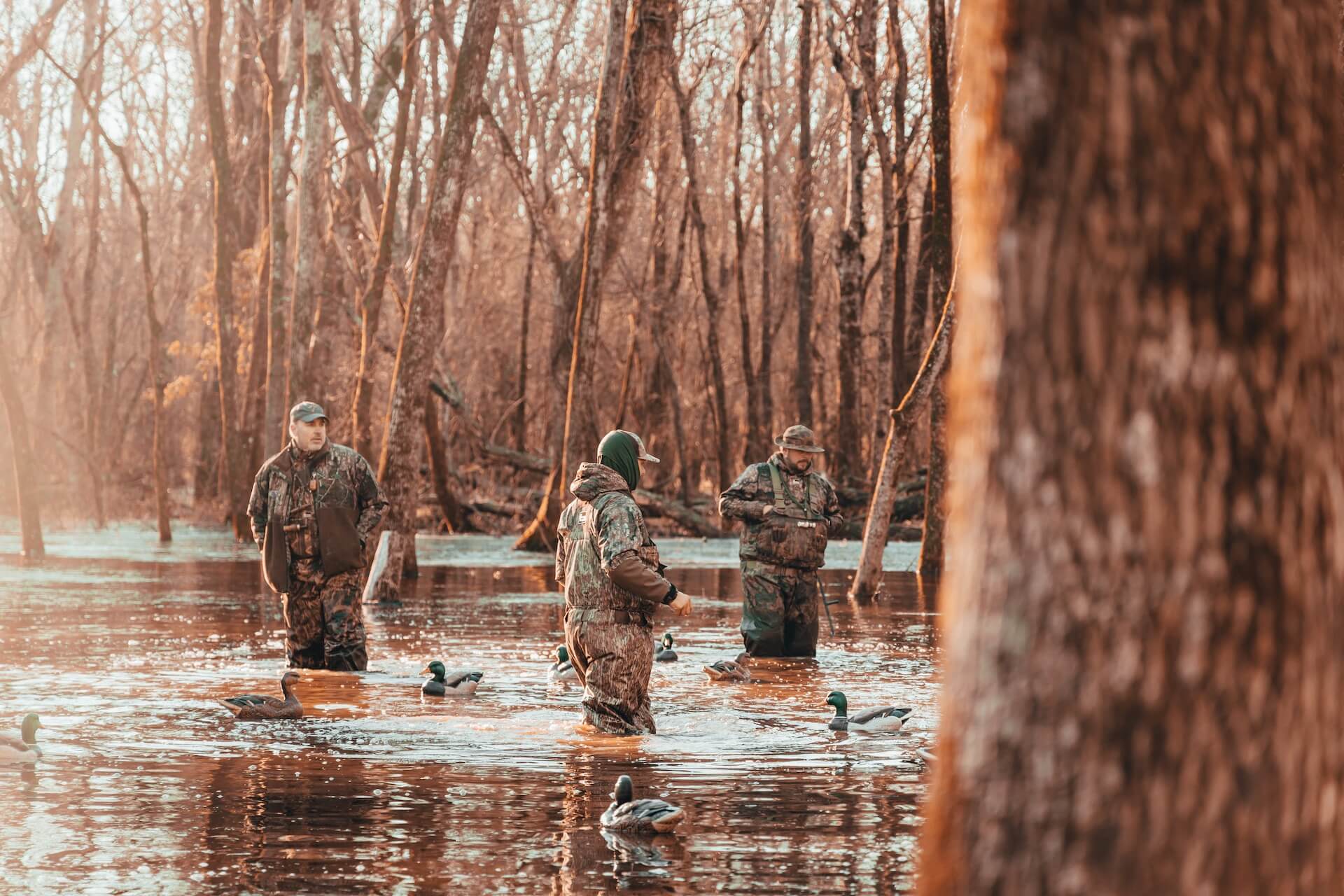 three hunters standing in a river with ducks