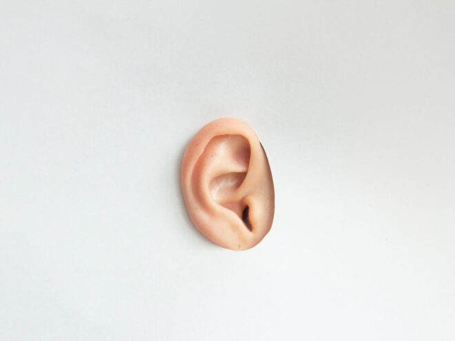 Ear with a white background