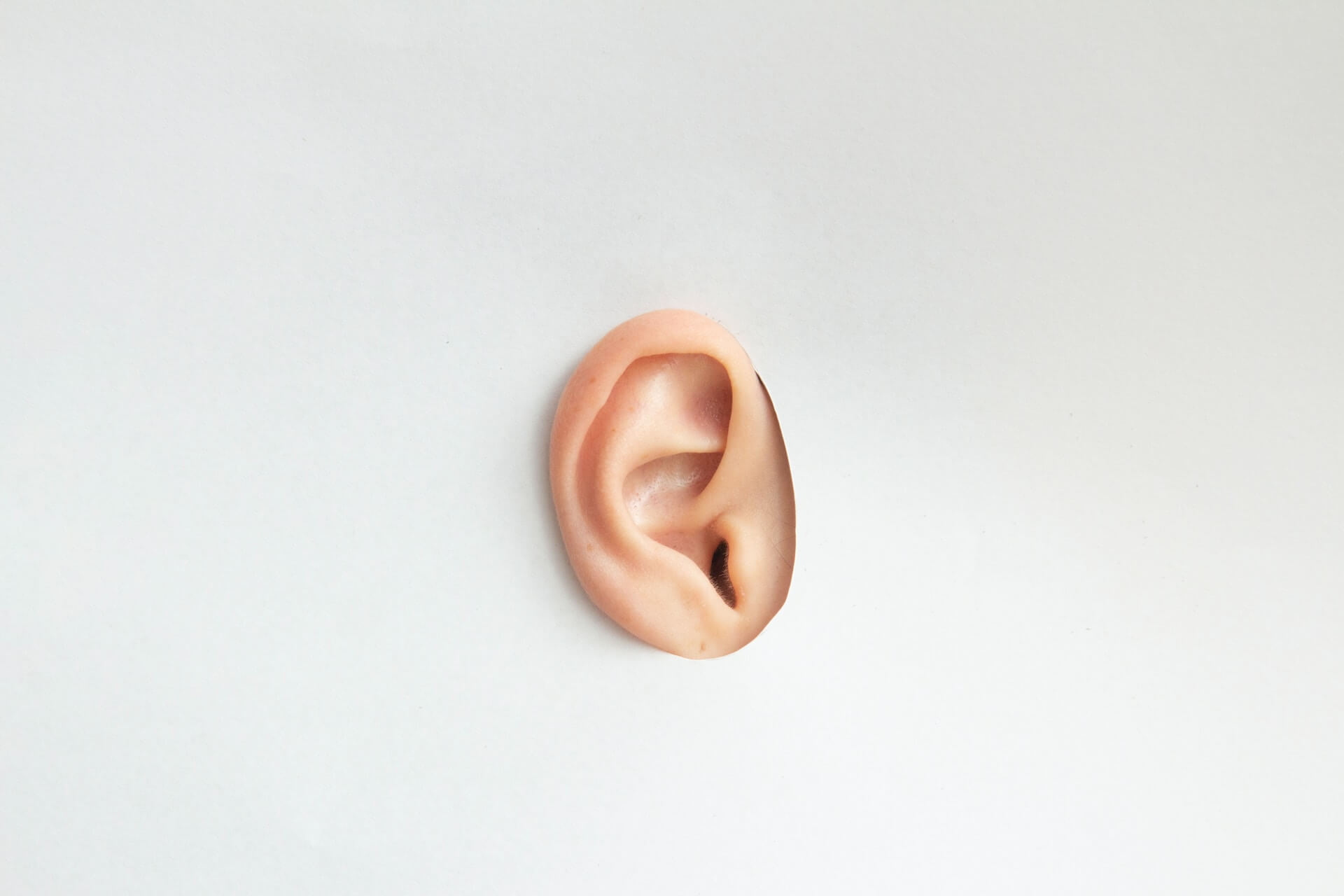 Ear with a white background