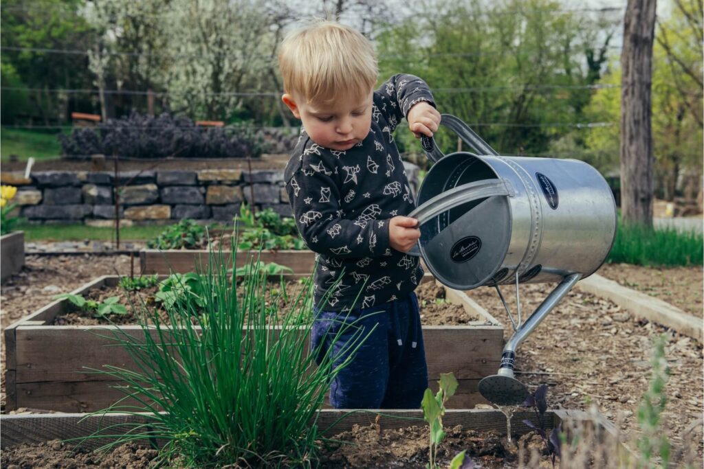 Boy watering a plant in a raised garden bed
