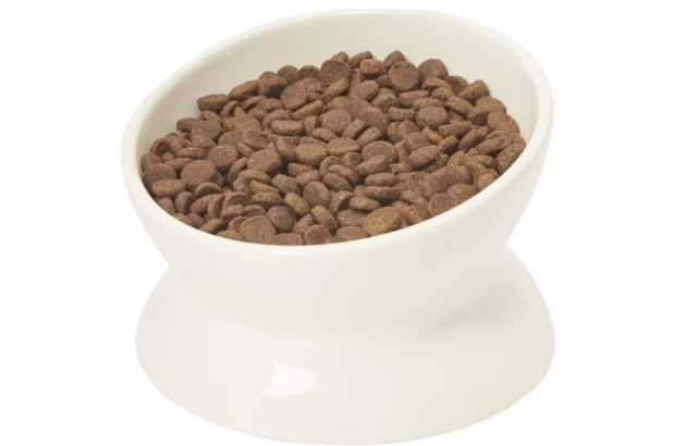 Frisco Double-Sided Ceramic Elevated Cat Bowl