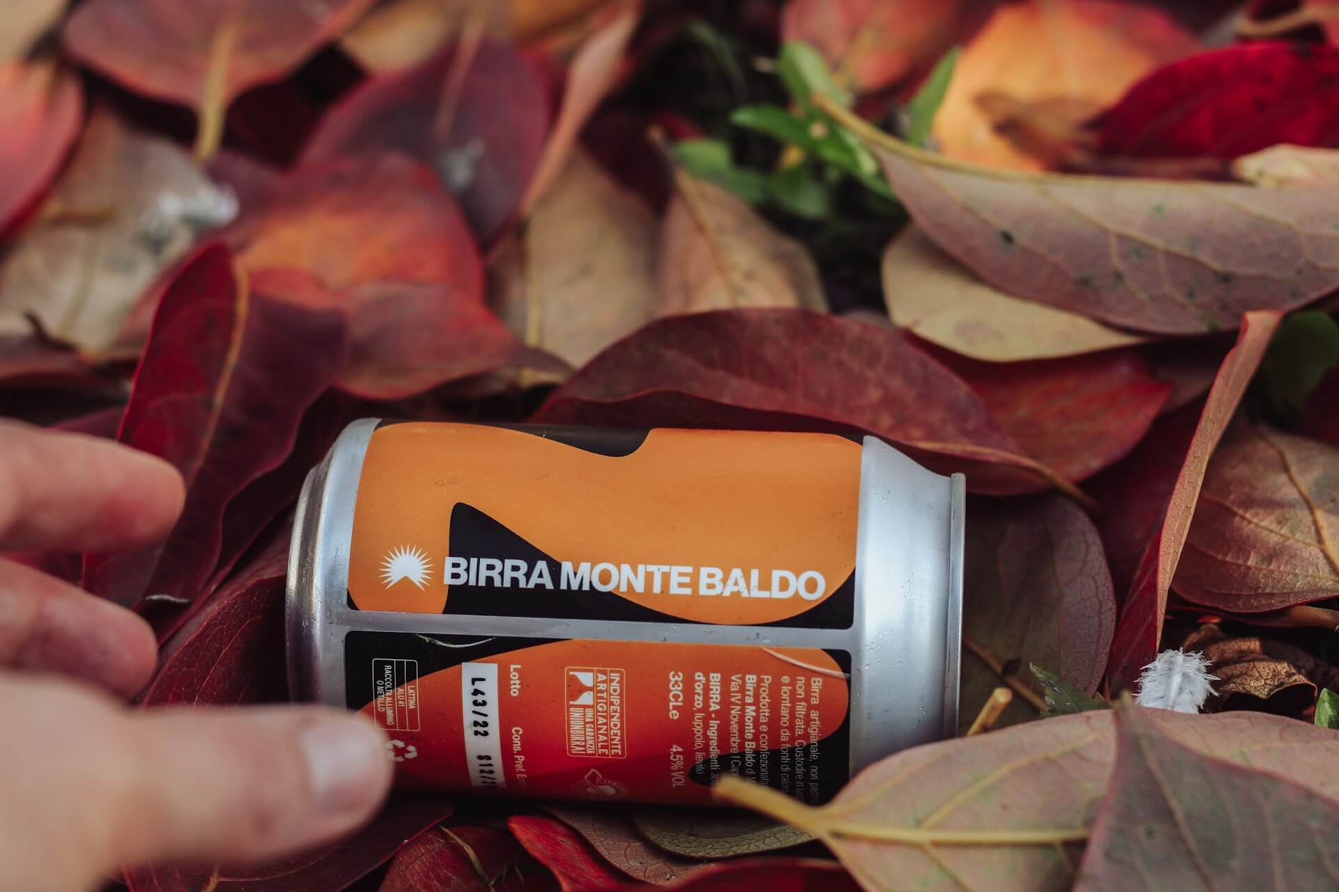 A can of beer on a pile of leaves