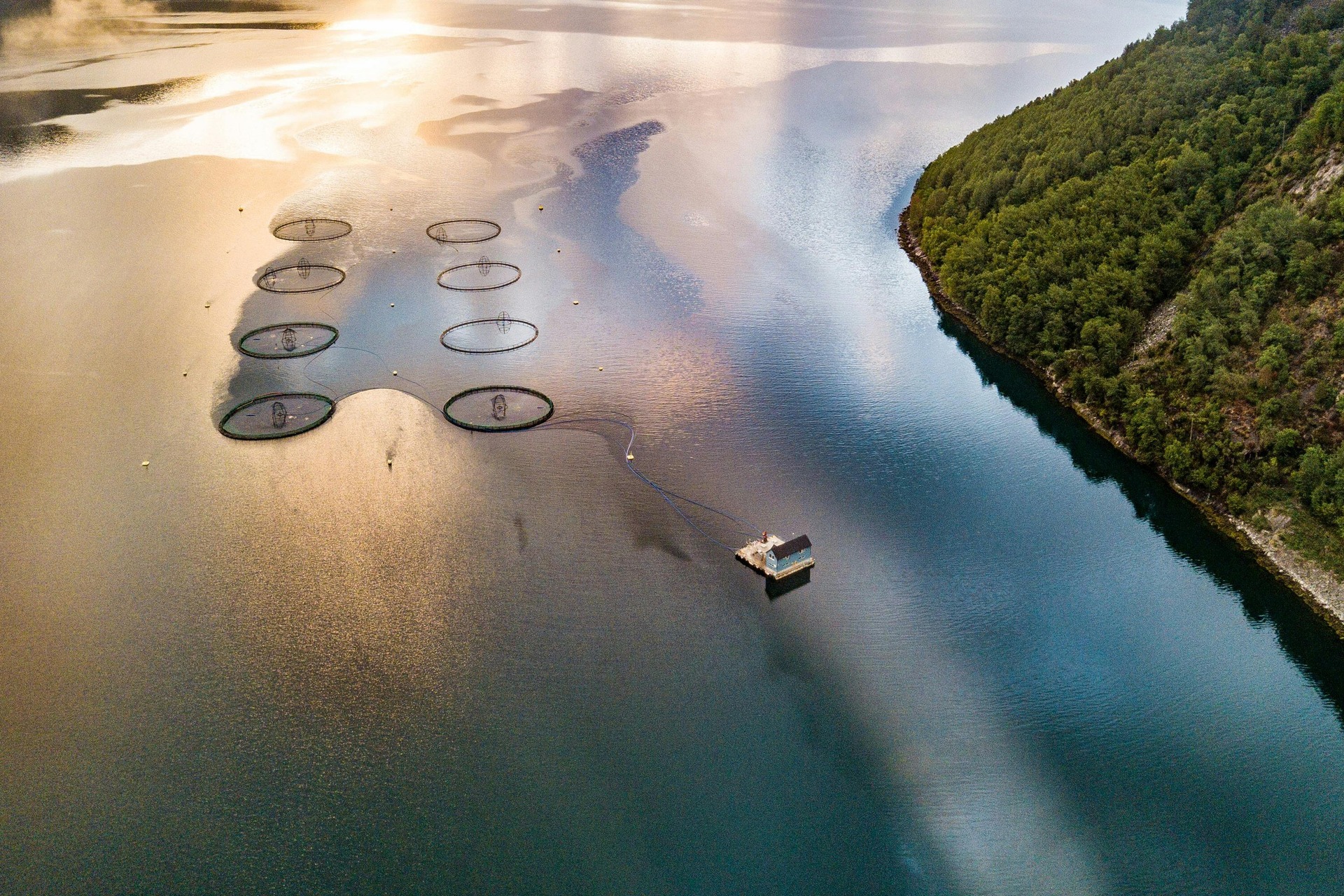 Distant view of a fish farm