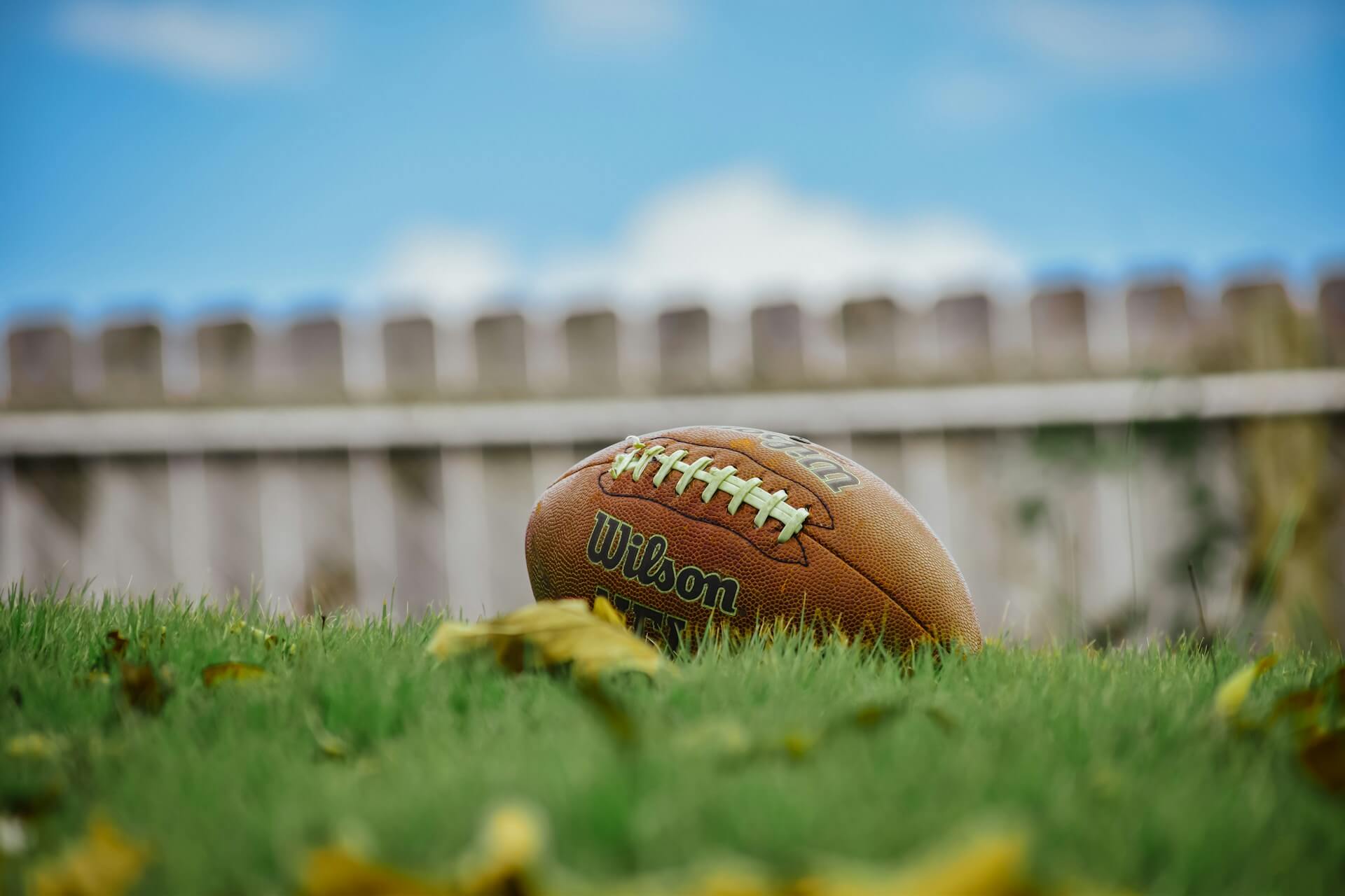 A Wilson football in the grass with a fence in the background